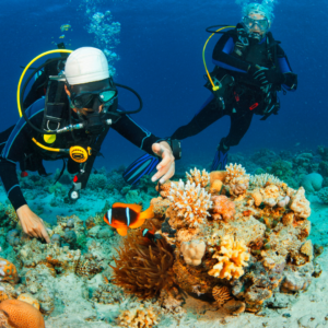 Intro Diving Trip Explore the Underwater World